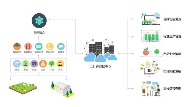 数据驱动田野 智慧农业如何重塑传统农耕未来